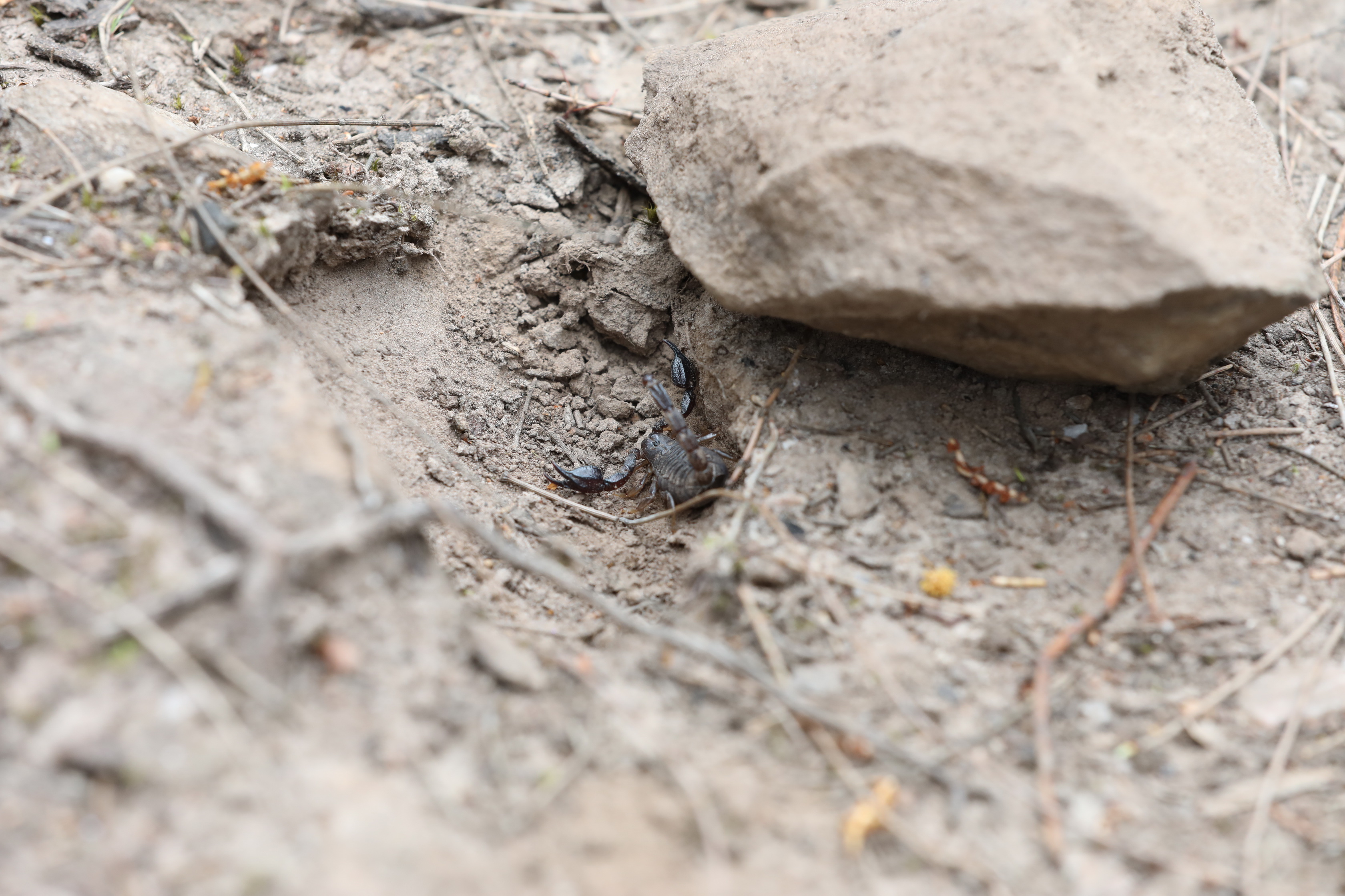 2019 10 06 13 24 19 Canon EOS 5D Mark IV 0007